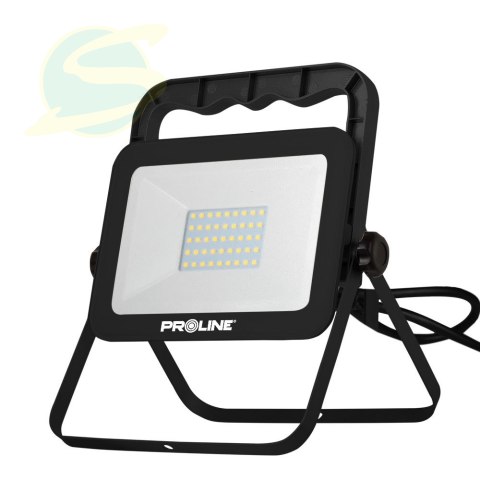 Lampa Led Smd Przenośna 30w, Ce, Proline