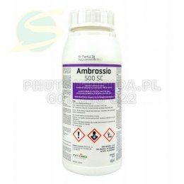 AMBROSSIO 500 SC 0,5L